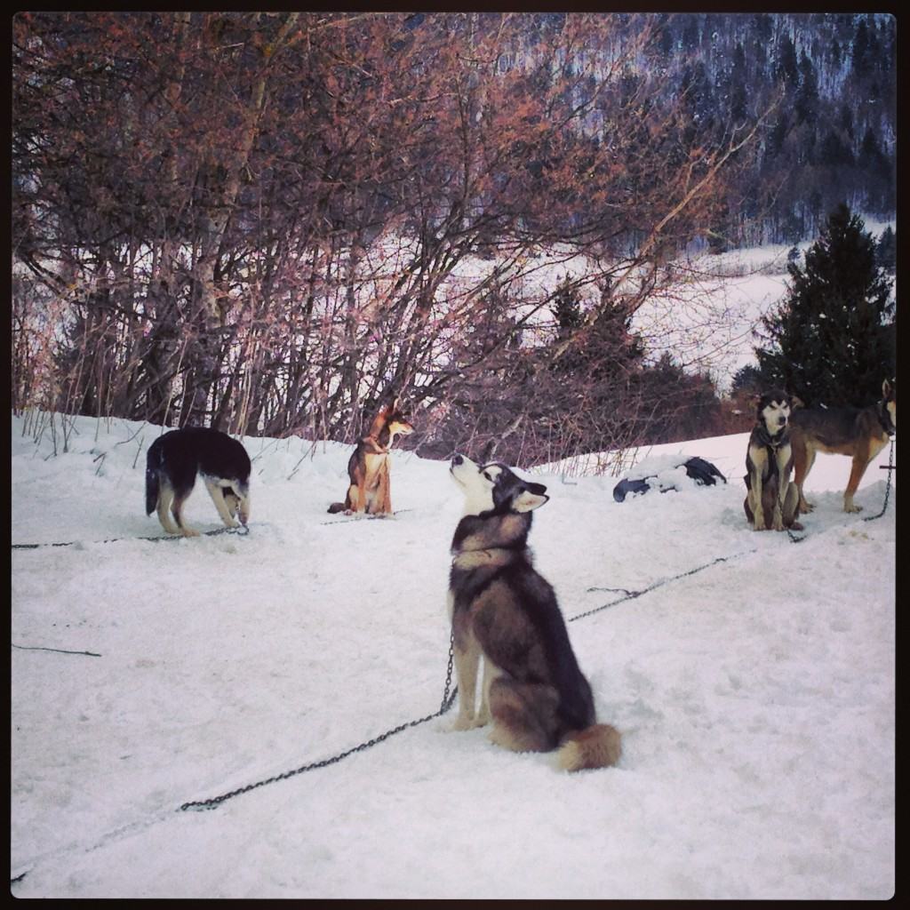 Sport, relax e natura sulle Dolomiti Paganella