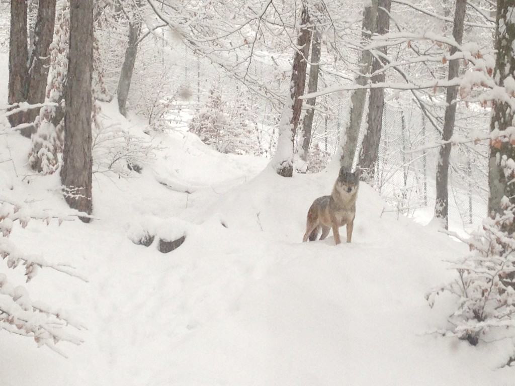 Sport, relax e natura sulle Dolomiti Paganella