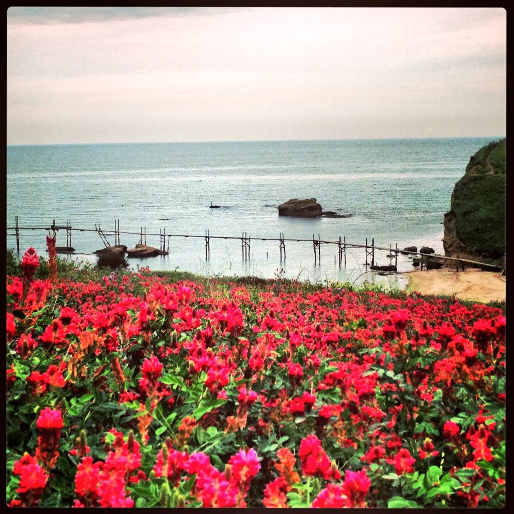 cosa fare a vasto