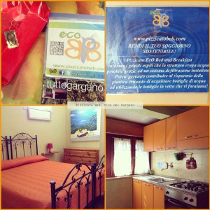 Pizzicato Eco B&B