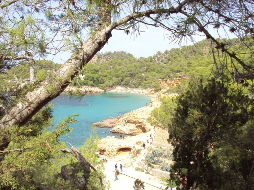 Ibiza in un giorno