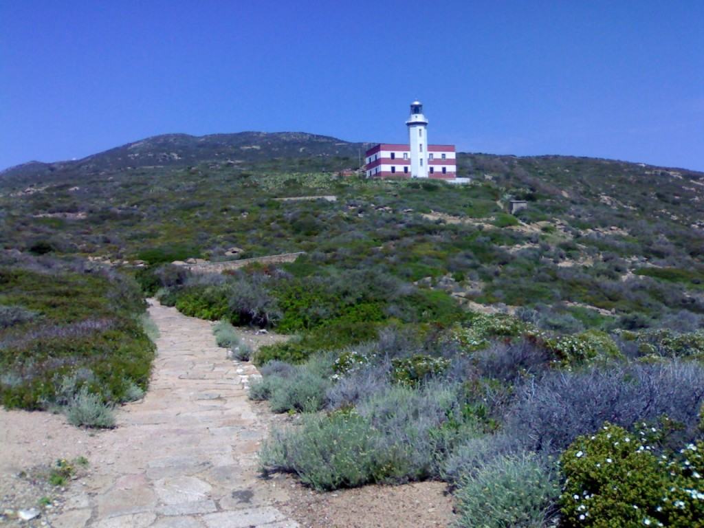 isola del giglio da vedere
