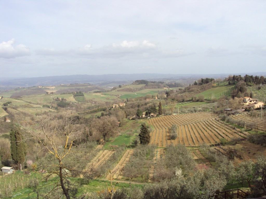 San Gimignano e la Vernaccia