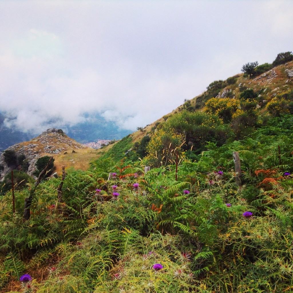 Parco dei Nebrodi e dintorni