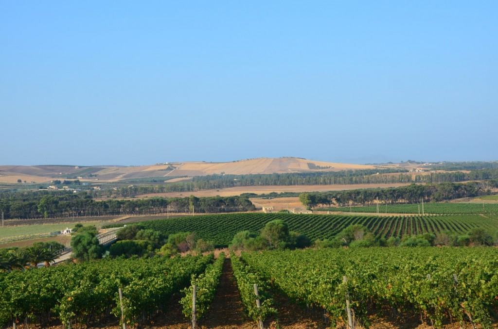 Cantine Firriato
