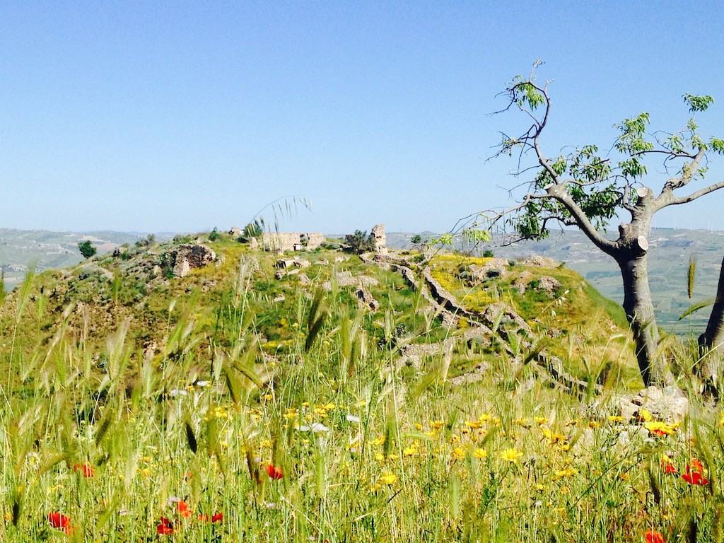 la sicilia e il calatino