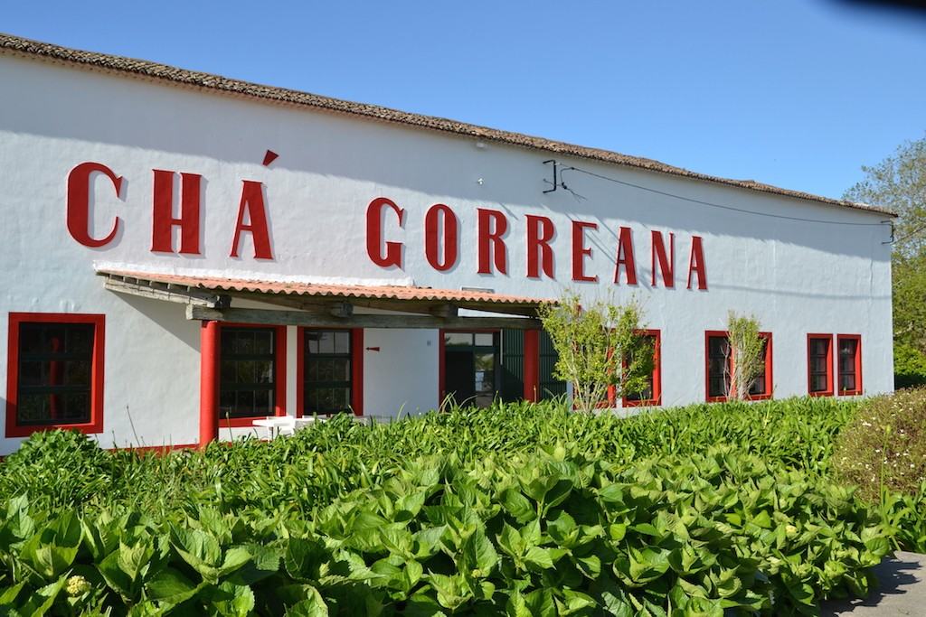 Il tè delle Azzorre