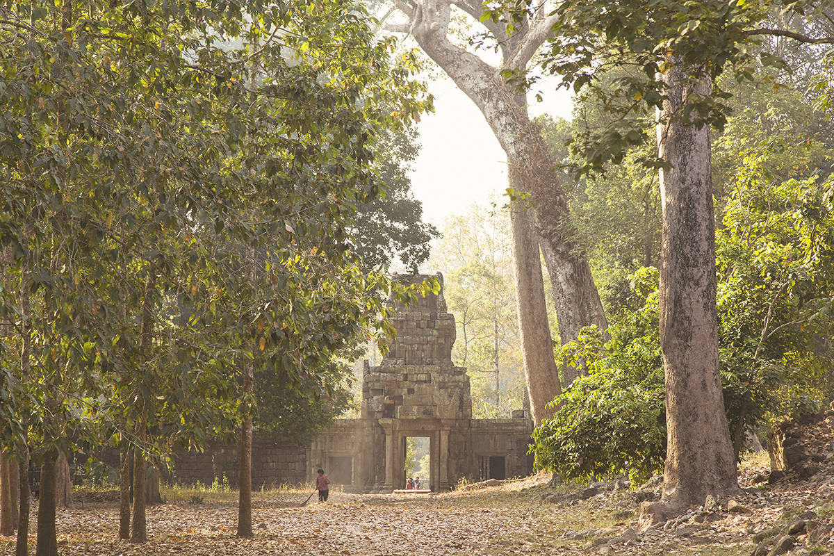 Angkor la foresta di pietra