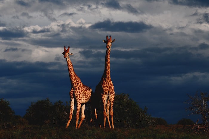Soultravelling, turismo responsabile in Africa