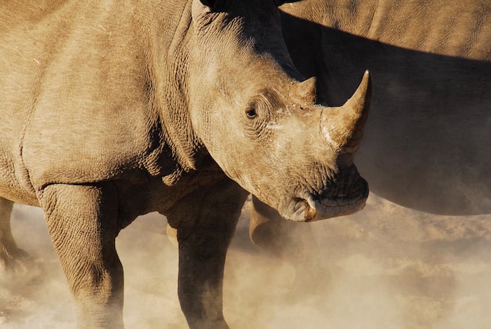 Soultravelling, turismo responsabile in Africa