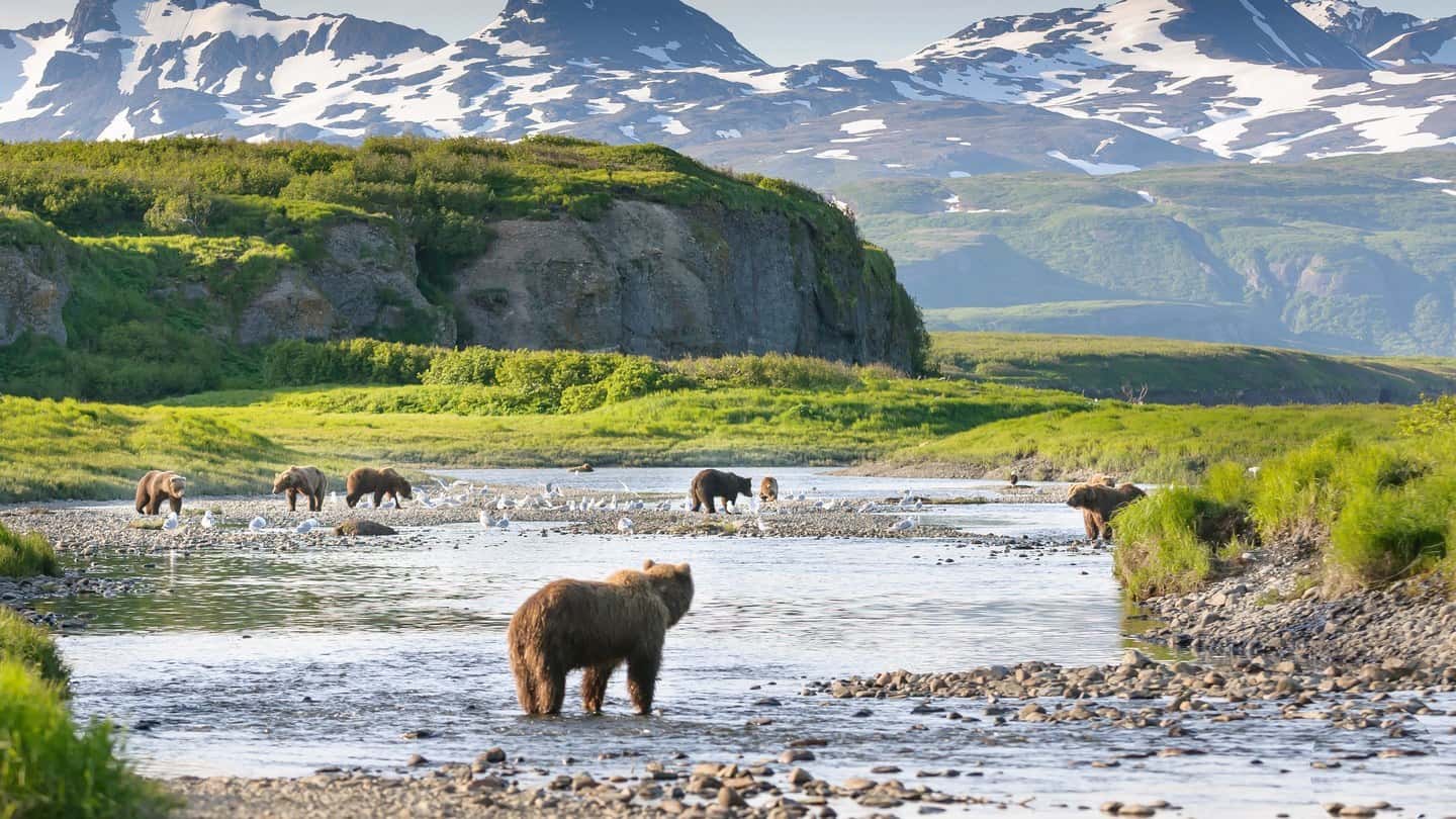 L'Alaska, une terre magique à découvrir