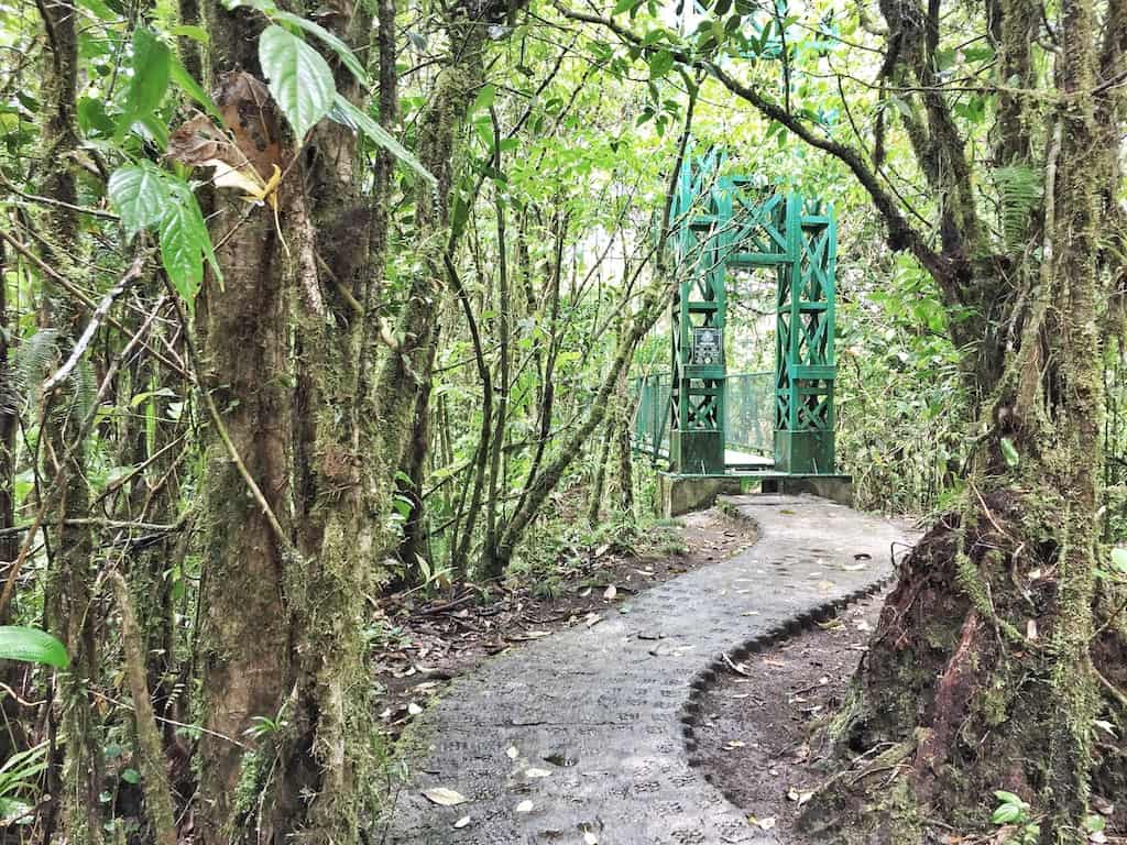 Monteverde, aventure et divertissement au Costa Rica