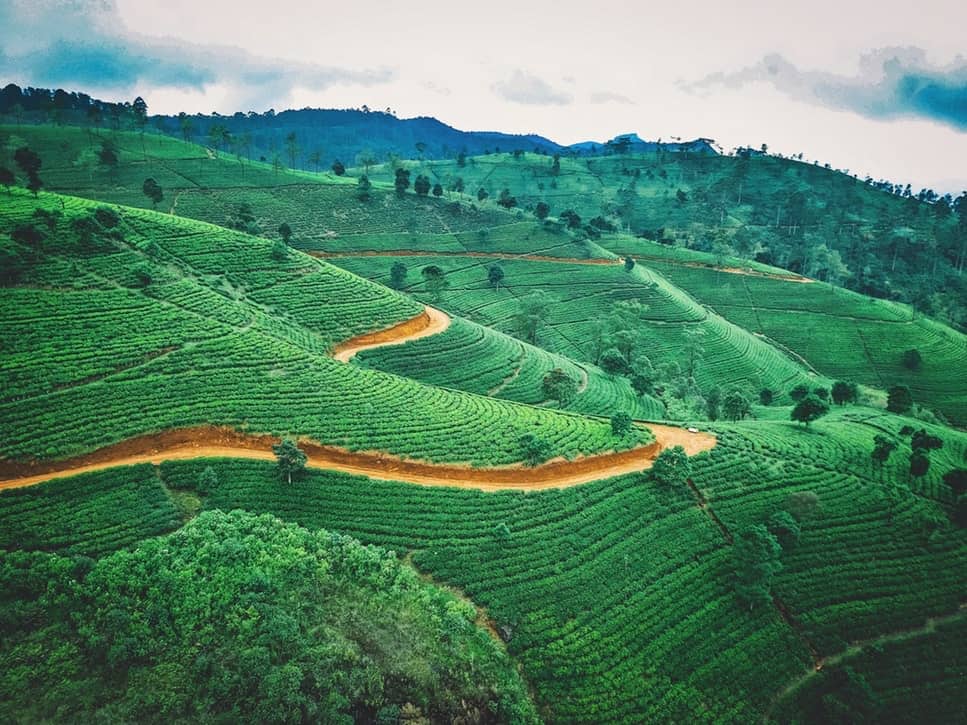 Sri Lanka, un viaggio nella natura tropicale