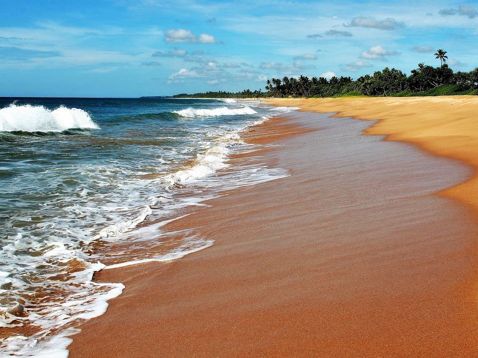 Sri Lanka, un viaggio nella natura tropicale
