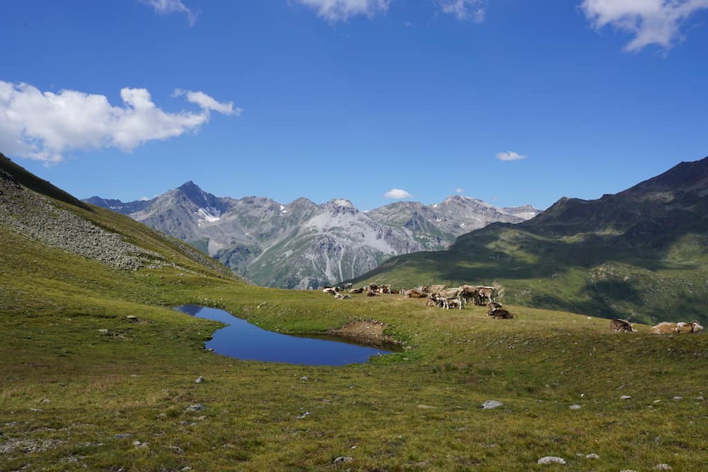 Alto Adige tutto da scoprire