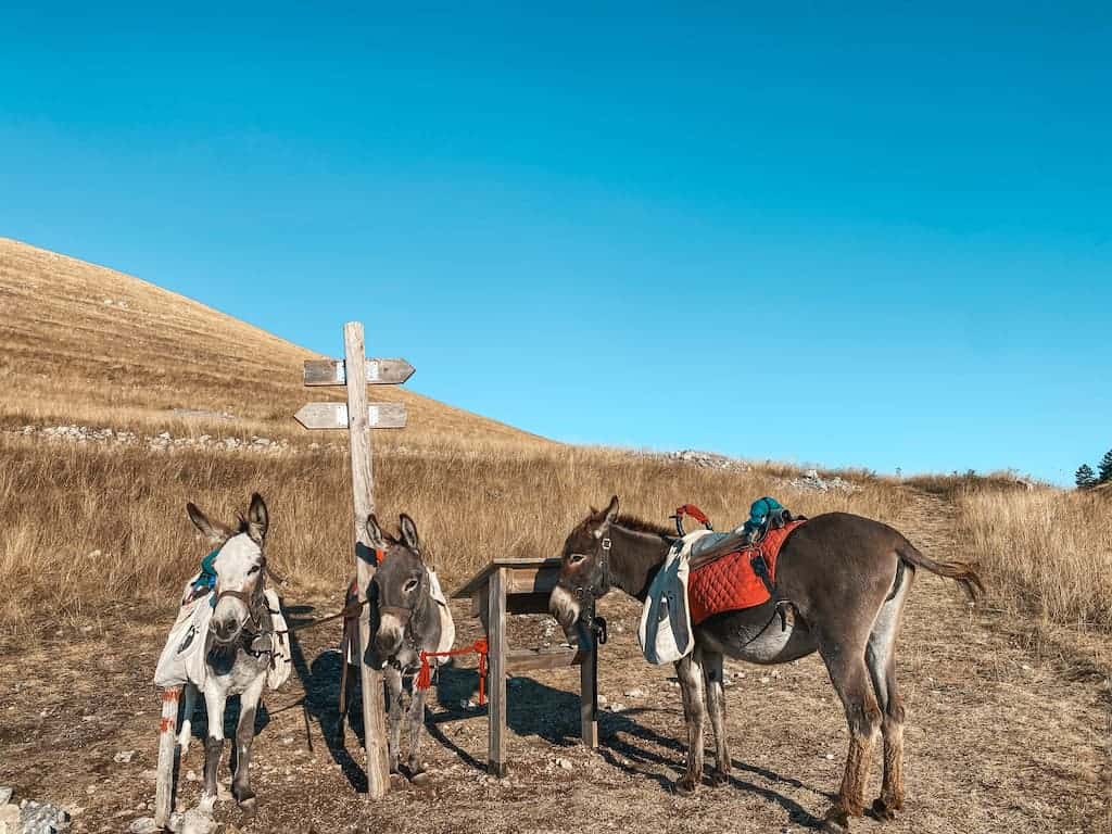trekking con gli asini, escursioni proposte da Gira e Rigira a Santo Stefano di Sessanio