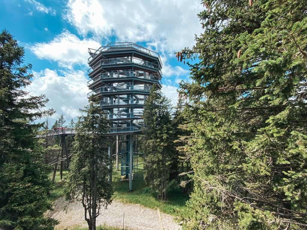 Treetop Walk Pohorje in mezzo al verde della slovenia